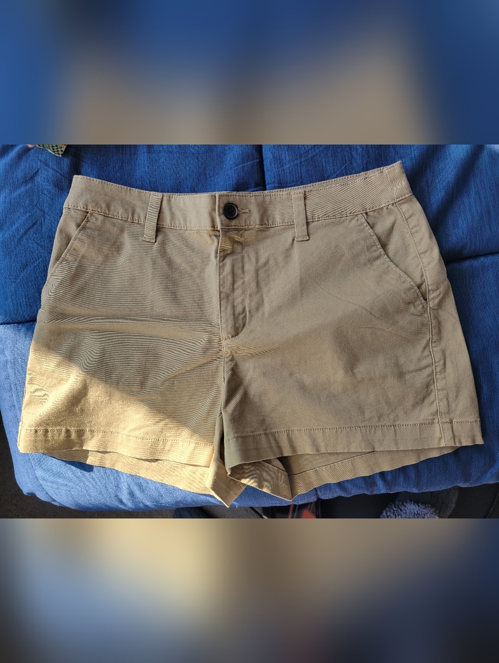Womena Shorts